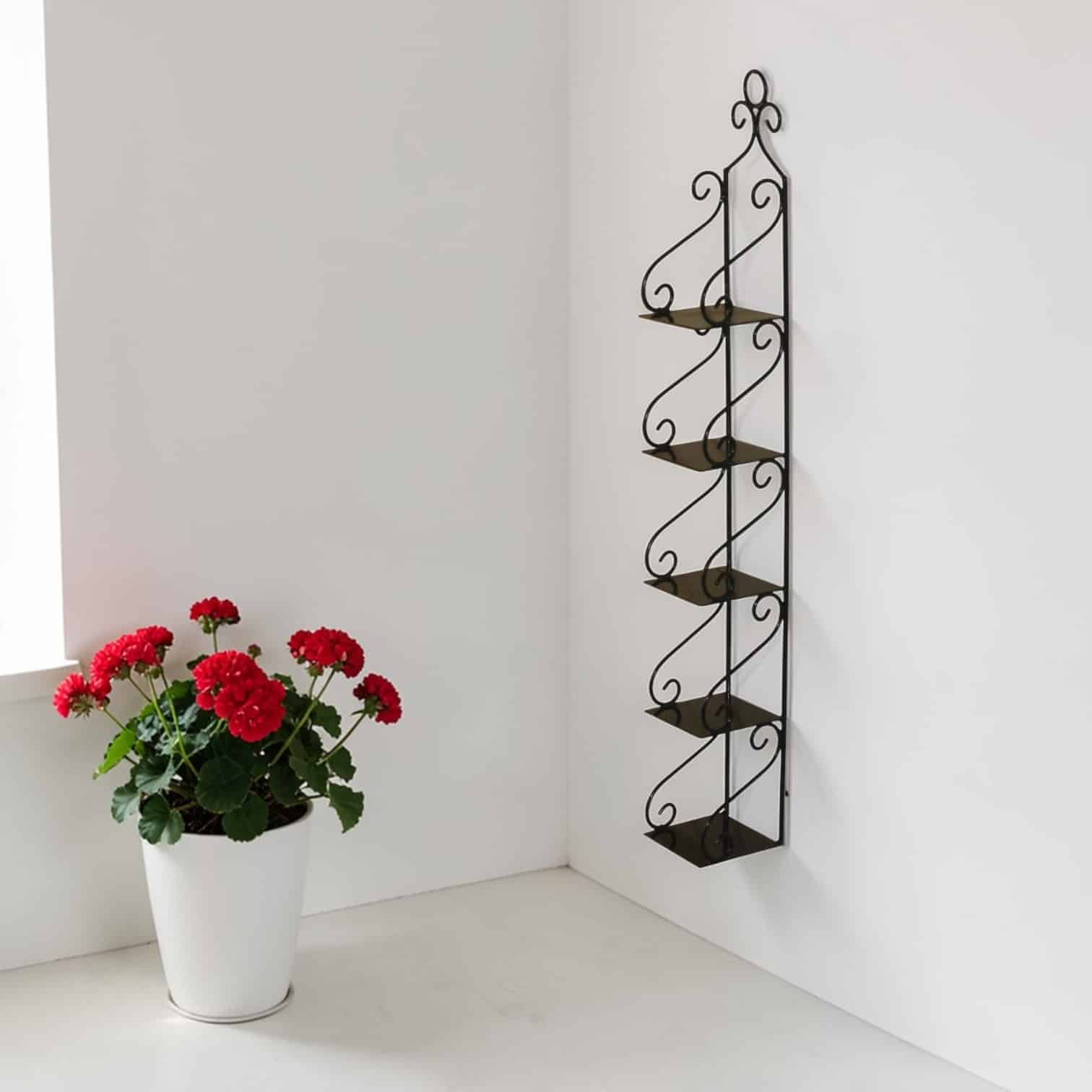 Shelve 5