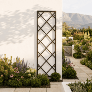 Tranquil South African garden with wrought iron trellis