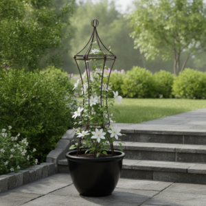 Fiona Obelisk