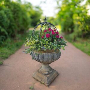 Exclusive Topiary ball variations