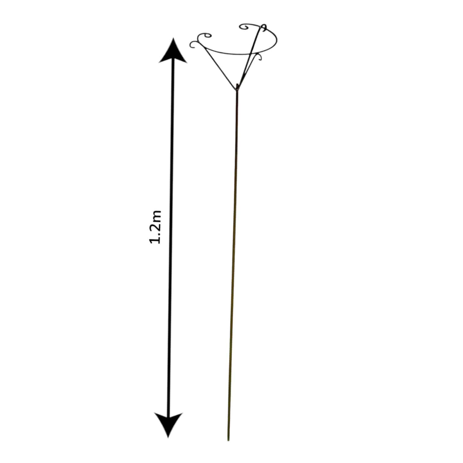Rose Stands - 1.2m - Image 2
