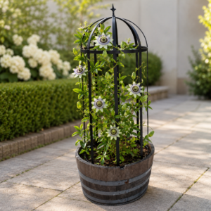 Wine Barrel Obelisk